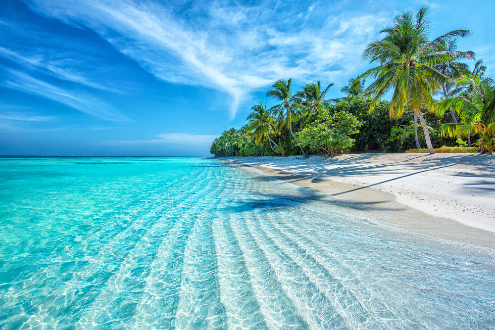 Maldives-Islands-Ocean-Tropical-Beach