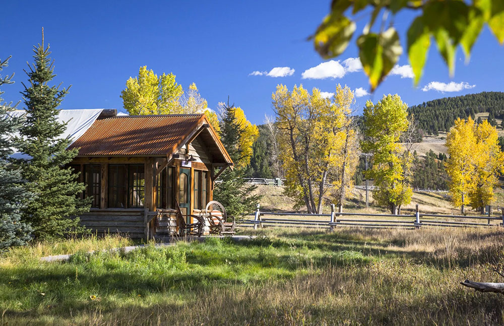 cabin-in-the-wildness