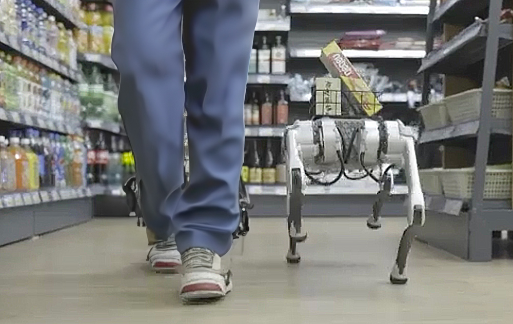 shopping-with-a-robot-dog